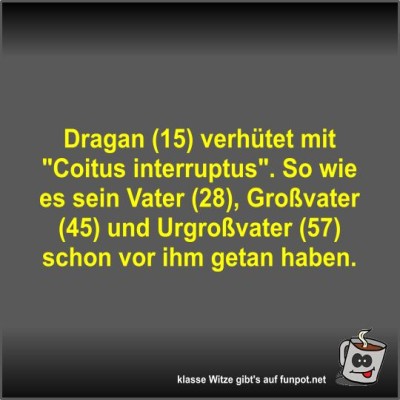 Dragan-(15)-verh&uuml;tet-mit-