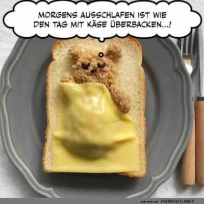 Mit-K&auml;se-&uuml;berbacken.jpg von Brandon