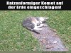 weiter