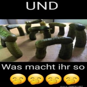 Gurkenhenge:-Der-neue-Trend!.jpg von Leona