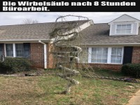 Wenn der Baum Rückenschmerzen hat