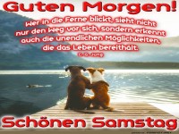 Hundeabendteuer mit Sinn!