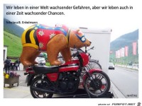 wir leben in einer Welt