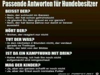 passende Antworten f�r Hundebesitzer