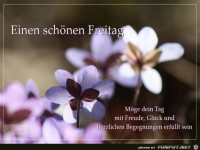 einen sch�nen Freitag......