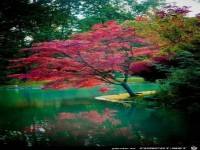 Wunderbare Orte auf dem Planet Erde