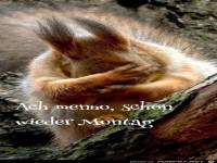 Montag