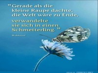 gerade als die kleine Raupe