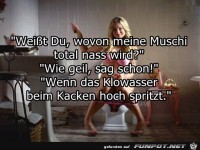 meine Muschi