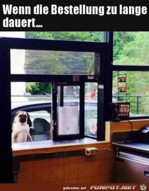 Wenn-die-Bestellung-zu-lange-dauert.jpg auf www.funpot.net