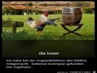 Zapfhahn...