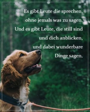Manchmal-reicht-ein-Blick.jpg auf www.funpot.net