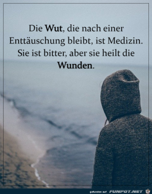 Diese-Wut.png auf www.funpot.net