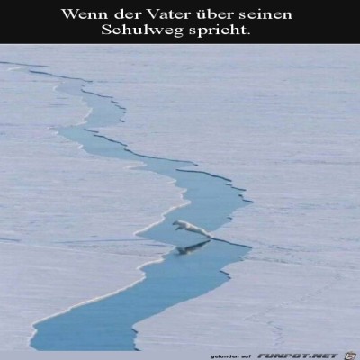 Vaters-Schulweg.jpg von Enya