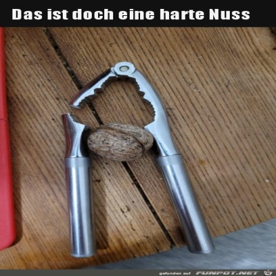 Harte-Nuss.jpg von Alya