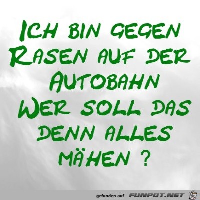 Ich-bin-gegen-Rasen-auf-der-Autobahn.jpg von LUIS999