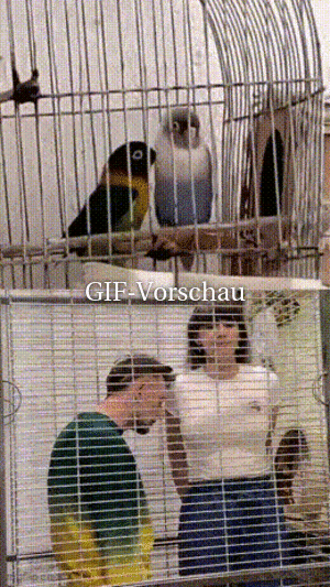 lustiger Spruch 'Michael'