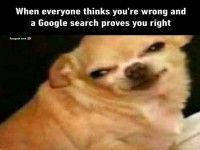 Wenn Google dich besttigt