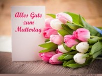 Herzlicher Muttertagsgru mit Tulpen