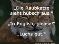 Wortspiel mit einer hbschen Raubkatze
