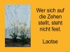 weiter