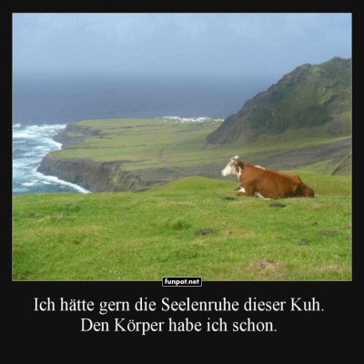 Kuh-gelassene-Tage-am-K&uuml;stenrand.jpg von Ida-1969