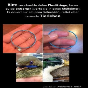 Wichtiger-Hinweis.jpg von Leona