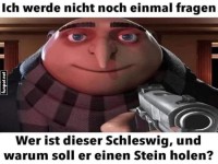 Gru hat Fragen zu Schleswig und Steinen!