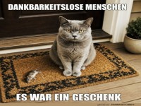 Unbeeindruckte Katzen-Diplomatie