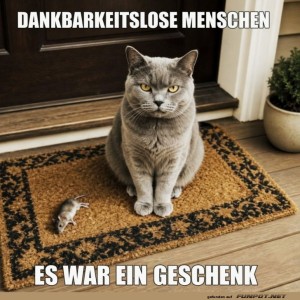 Unbeeindruckte-Katzen-Diplomatie.jpg von Matilda