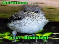 Wenn der Dienstag wie Montag anf�hlt!