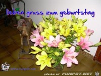 lieben gruss zum geburtstag