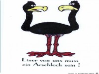 Einer von uns muss ein Arschloch sein