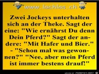 immer gut drauf