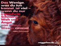 Das wenige was du tun kannst