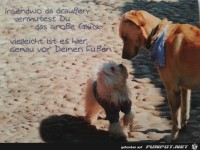 glaeueck-spruch