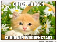 Schoenen Wochenstart