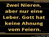 PHOZwei Nieren, aber nur eine Leber