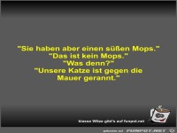 Sie haben aber einen sen Mops