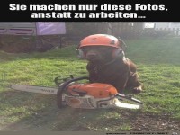 Bl�de Fotos