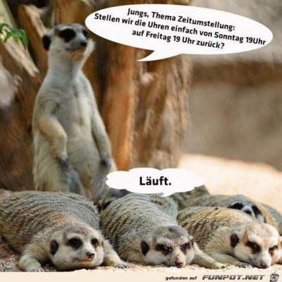 Zeitumstellung.jpg von Niklas