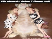 Gib nie deine Tr�ume auf