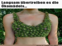 Langsam bertreiben es die...