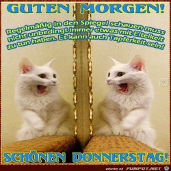 Donnerstag.jpg auf www.funpot.net