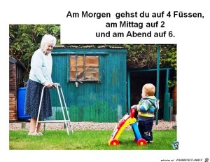 Der-Kreislauf-des-Lebens.jpg auf www.funpot.net