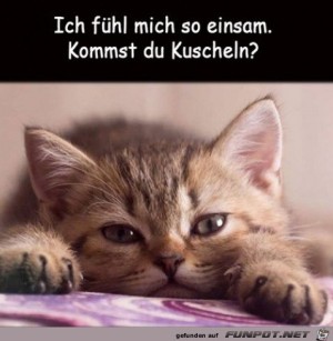 Wie-lieb.jpg auf www.funpot.net