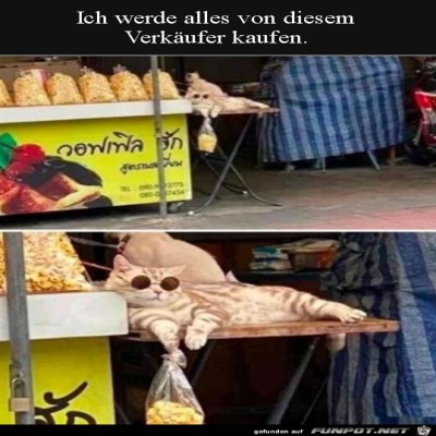 Tierischer-Verk&auml;ufer.jpg von Tilo