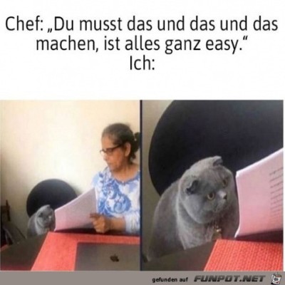 Ich-habe-keine-Ahnung.jpg von Alya