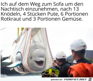fun-Bild: Man muss bewegt werden