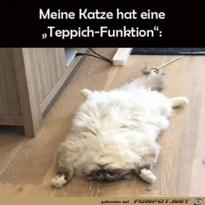 Katze-mit-Teppichfunktion.jpg von Ole